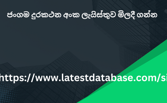 ජංගම දුරකථන අංක ලැයිස්තුව මිලදී ගන්න