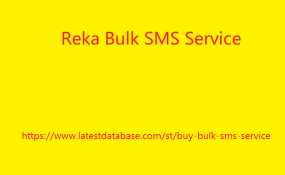 Reka Bulk SMS Service 4